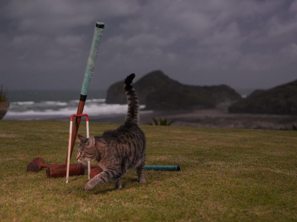 Bethells Beach Cottages Exteriér fotografie