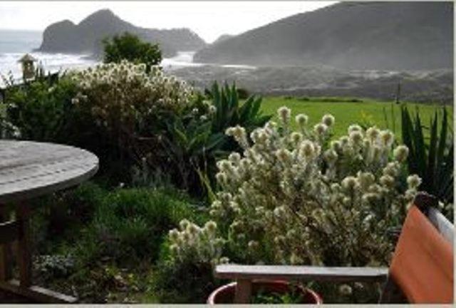 Bethells Beach Cottages Exteriér fotografie