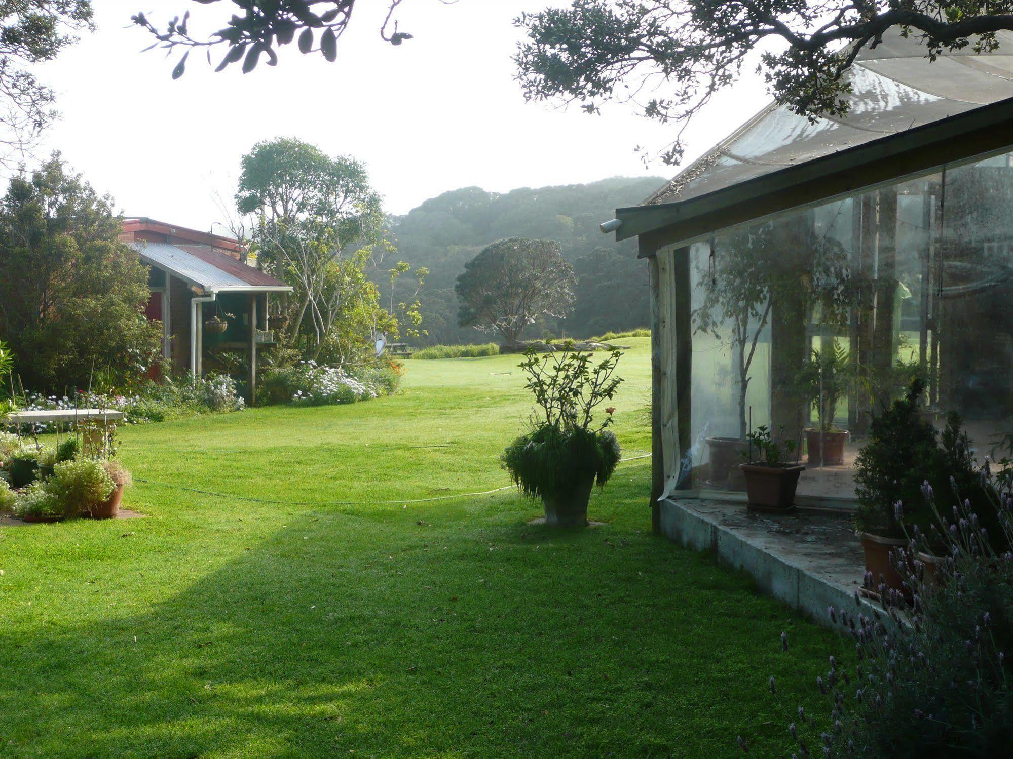 Bethells Beach Cottages Exteriér fotografie