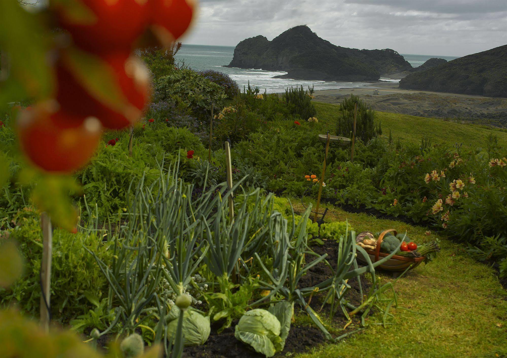 Bethells Beach Cottages Exteriér fotografie
